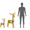Air feeld standing reindeer