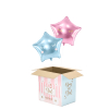 Box Boy Or Girl
