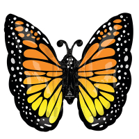 SuperShape Morach Butterfly