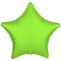 R10060<br>Standard Foil Star Neon Green