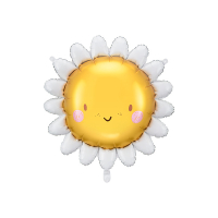 FB202<br>Supershape Sun