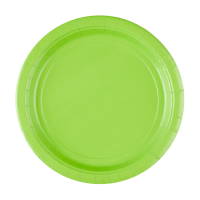 Plates paper kiwi