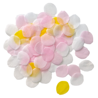 Confetti wedding