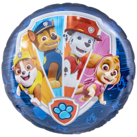 Vl standard round paw patrol