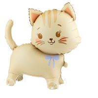 Airfeeld cat on wheels
