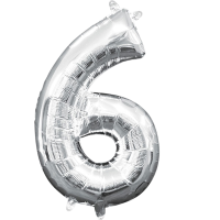 Mini number 6 silver