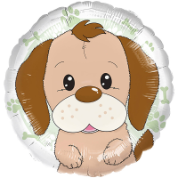 Standard playful dog