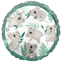 Standard koala