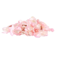 Rose petals champagne pink 150 pcs