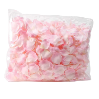 Rose petals champagne pink 1000pcs