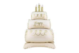 AIRLOONZ CAKE