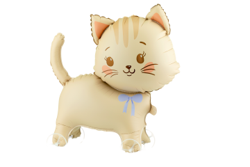 Airfeeld cat on wheels