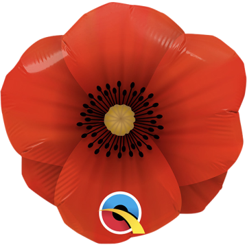 Minishape mini pretty poppy