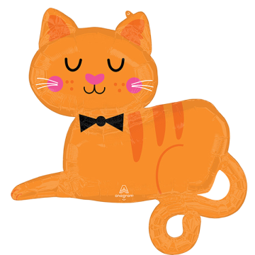 Supershape orange tabby cat