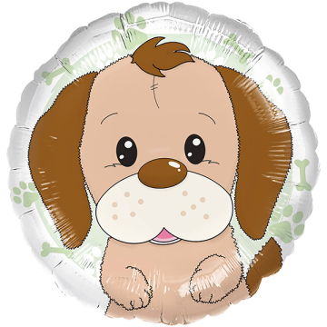 Standard playful dog