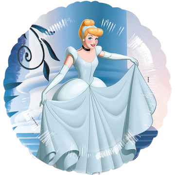 Standard disney princess cinderella