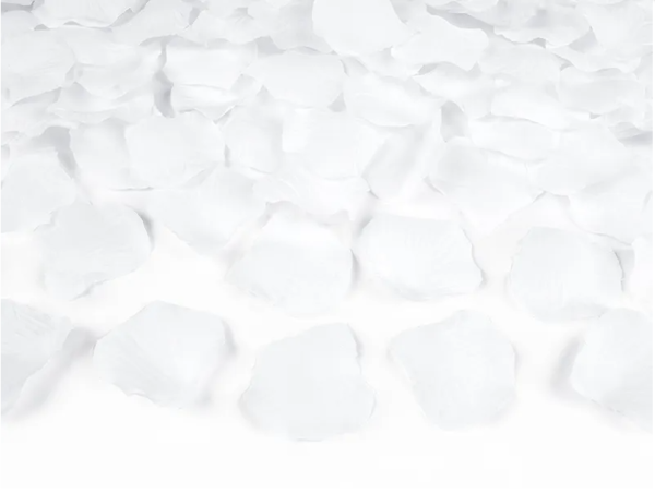 Rose petals white