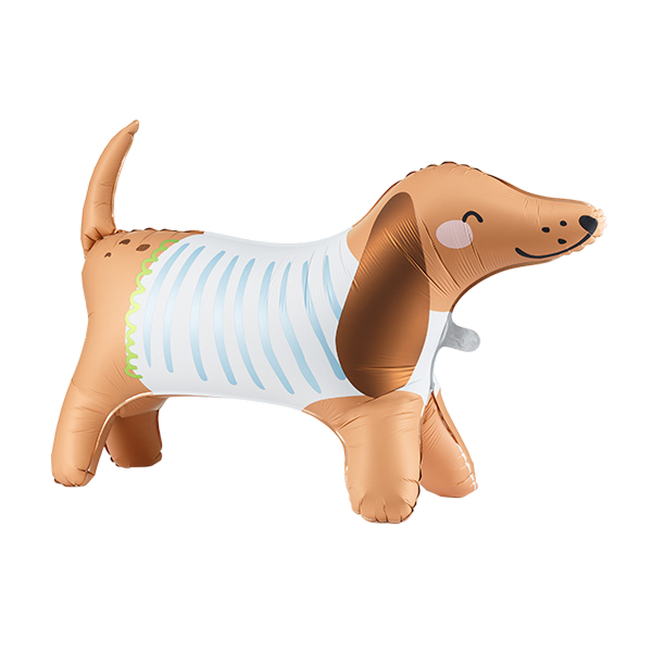 Walking dachshund