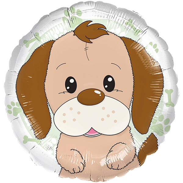 Standard playful dog