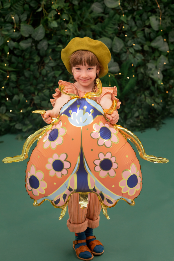 Supershape Ladybug