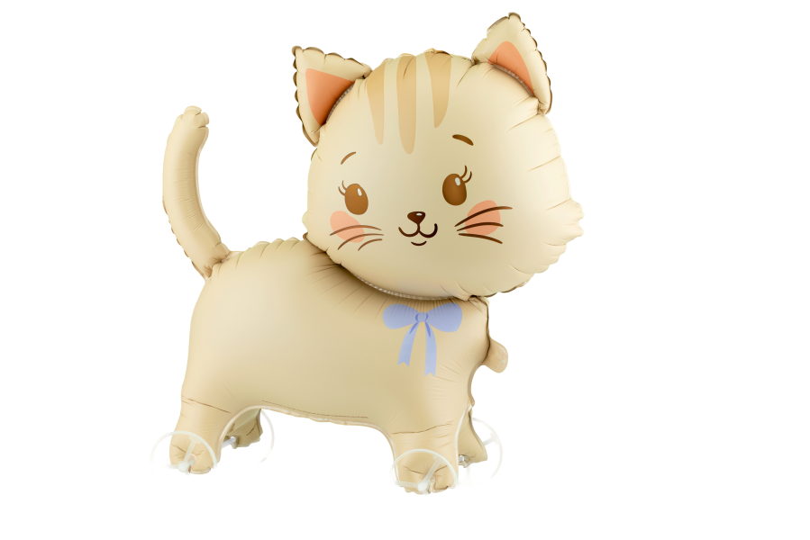 Airfeeld cat on wheels